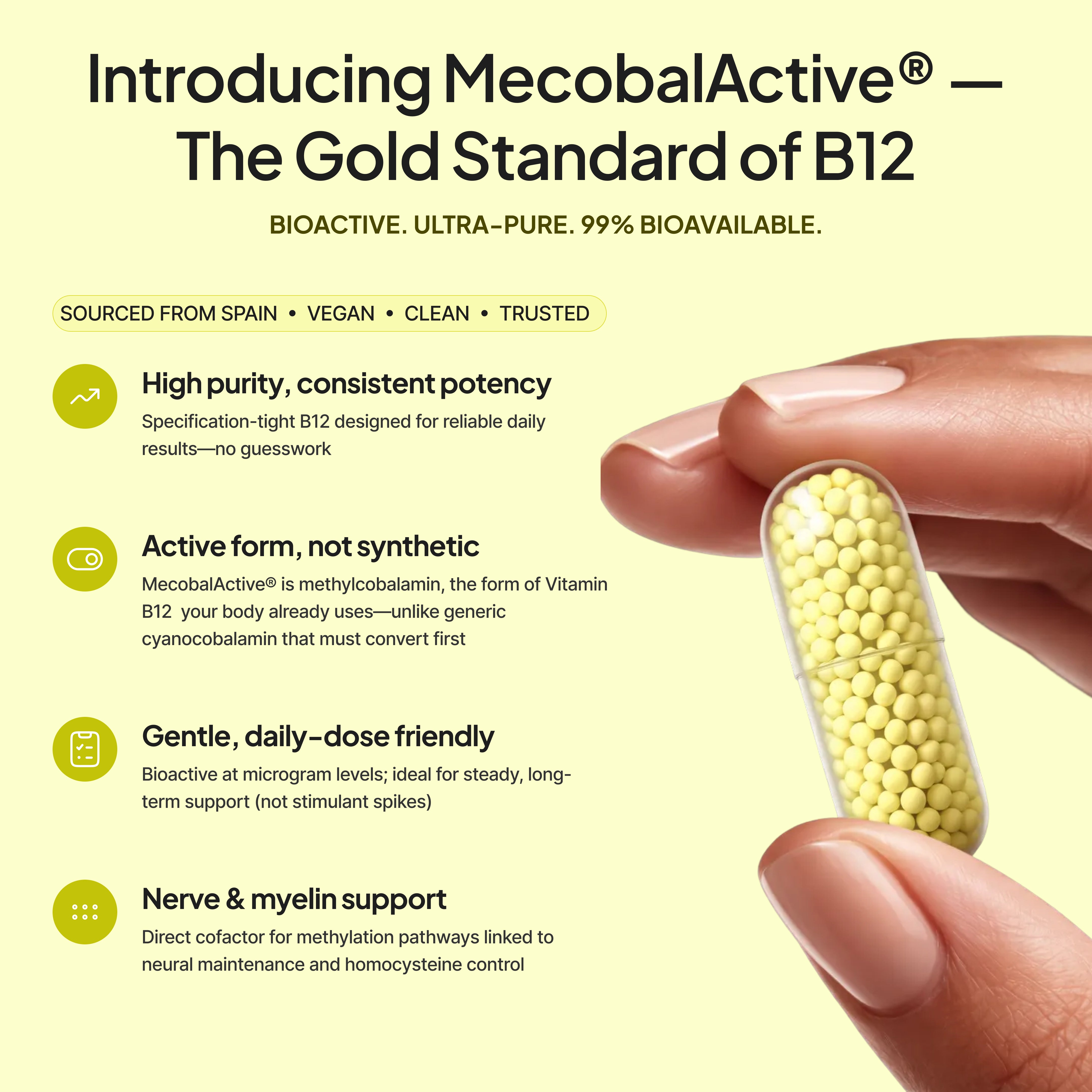 Neuromito B12+