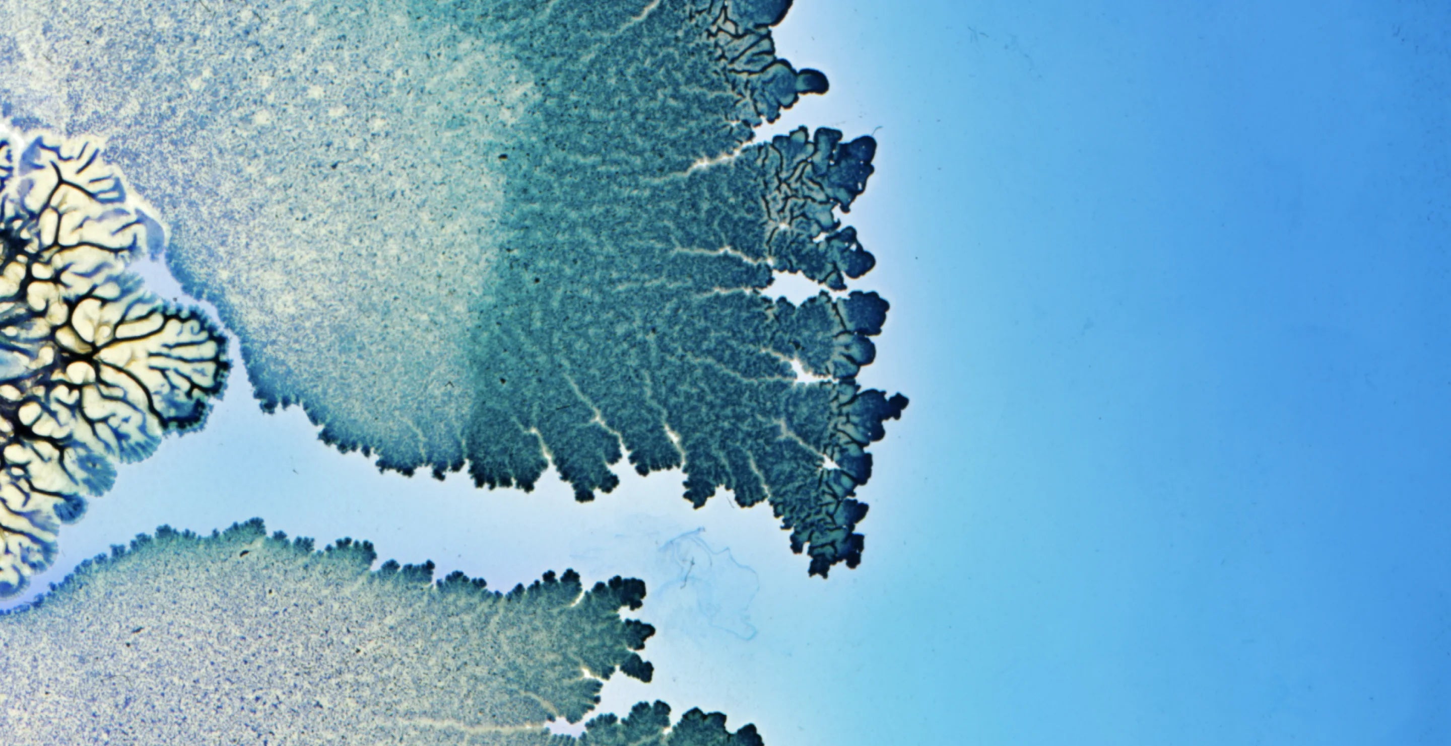 slider image slider_item_CnXmUU